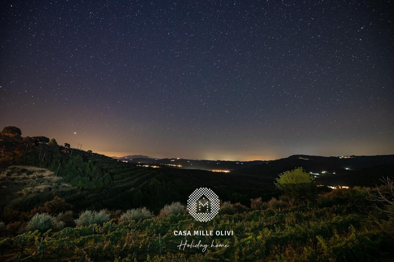 הוילה בוזט Casa Mille Olivi מראה חיצוני תמונה