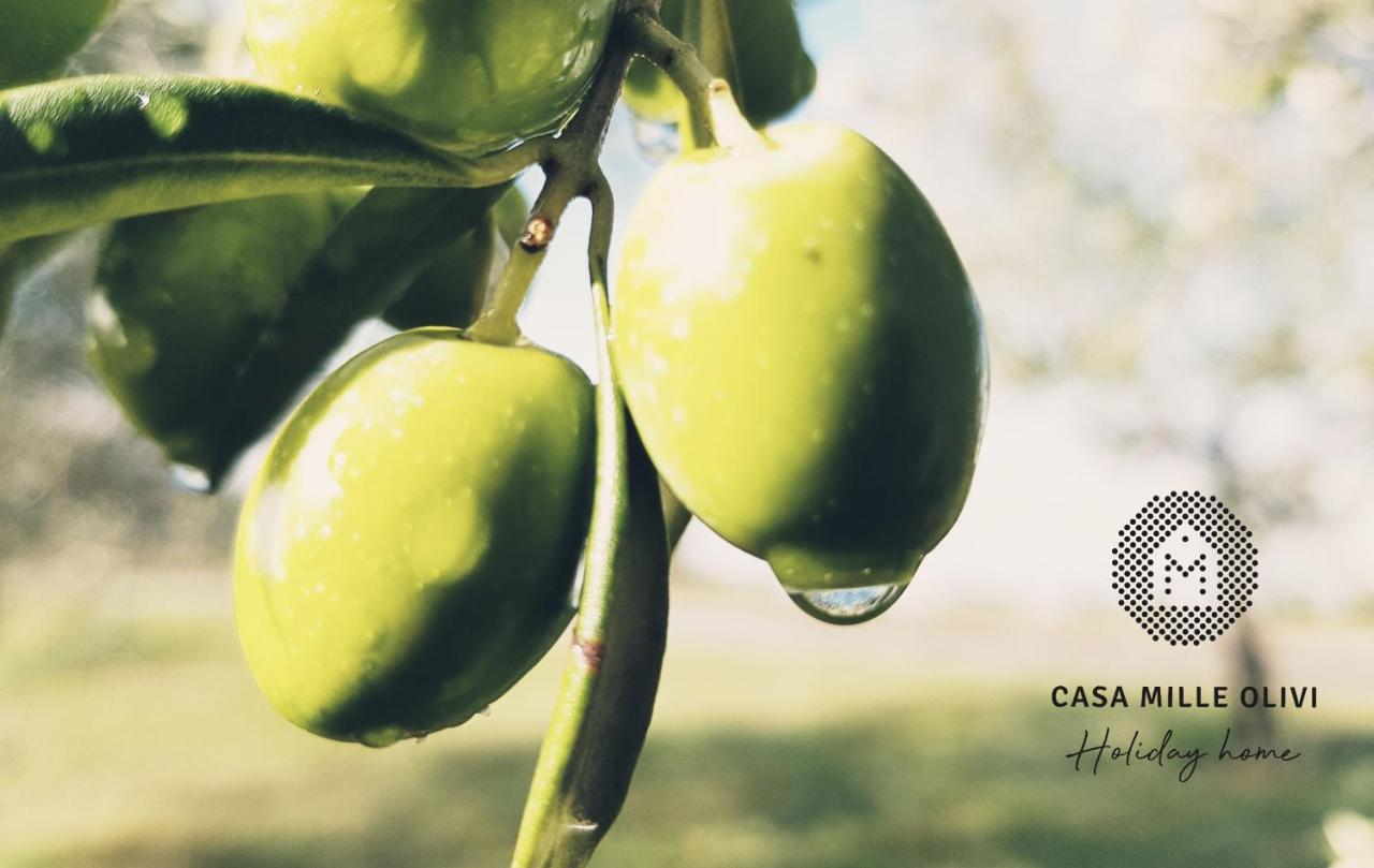 הוילה בוזט Casa Mille Olivi מראה חיצוני תמונה